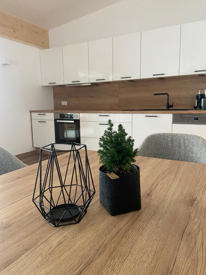 Ski & Bike Appartements Альтенмаркт-ім-Понгау Екстер'єр фото