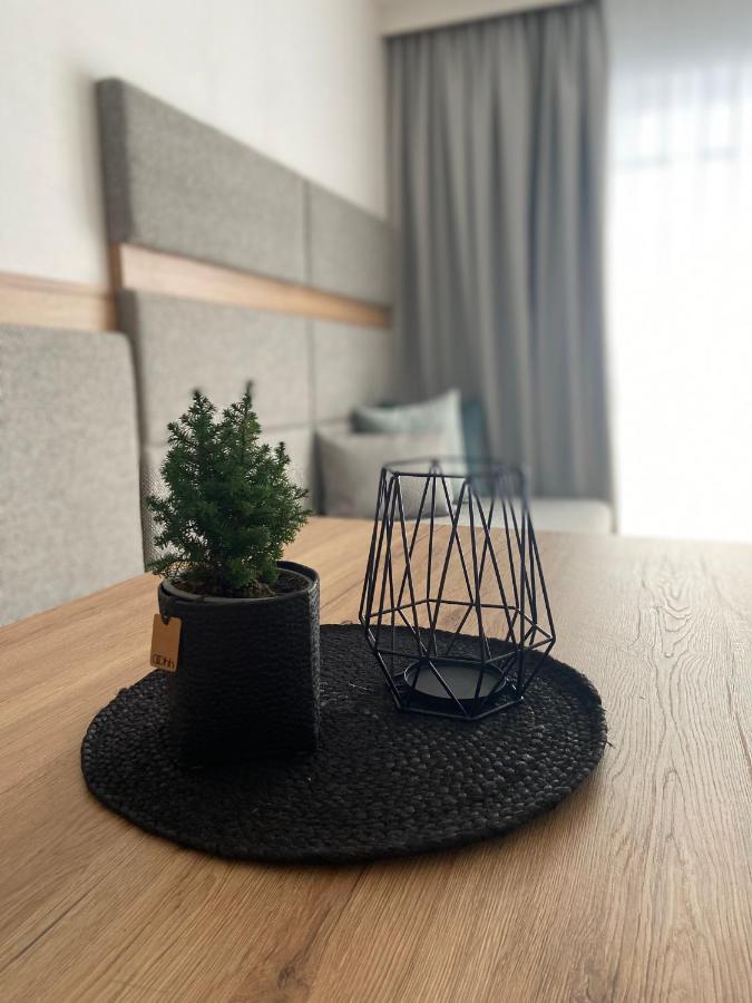 Ski & Bike Appartements Альтенмаркт-ім-Понгау Екстер'єр фото